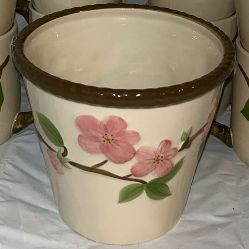 Desert rose flower pot